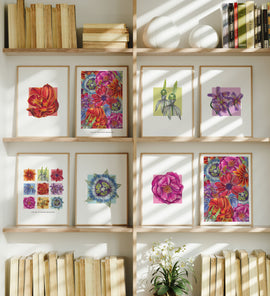 A variety of colourful framed floral artworks on a wooden shelf with books and a plant.