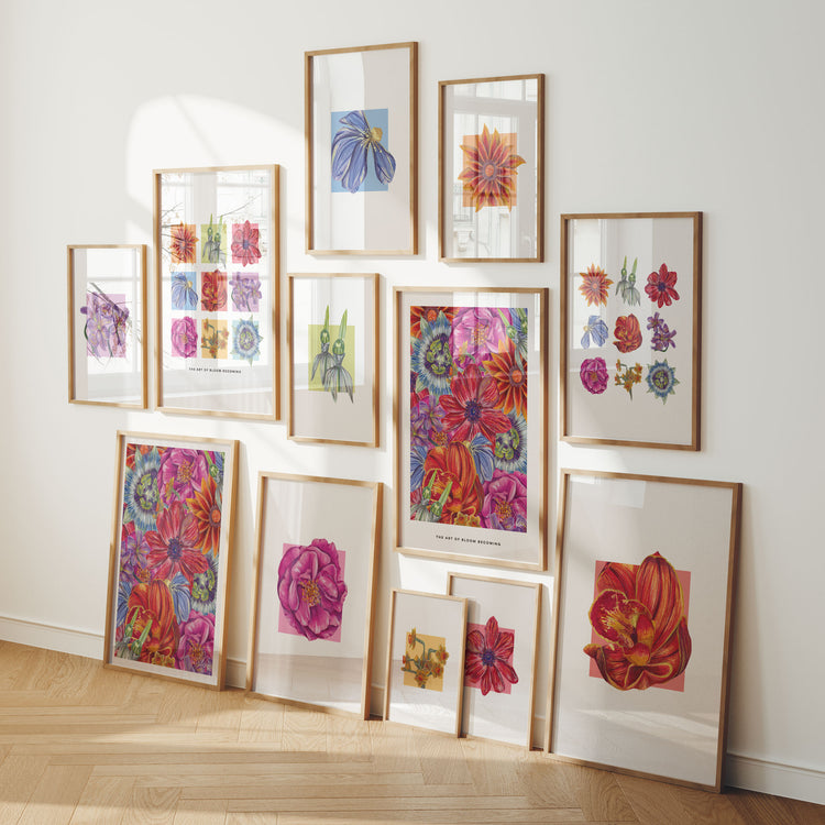 Collection of colourful bright framed floral artworks of varying sizes displayed on a wall