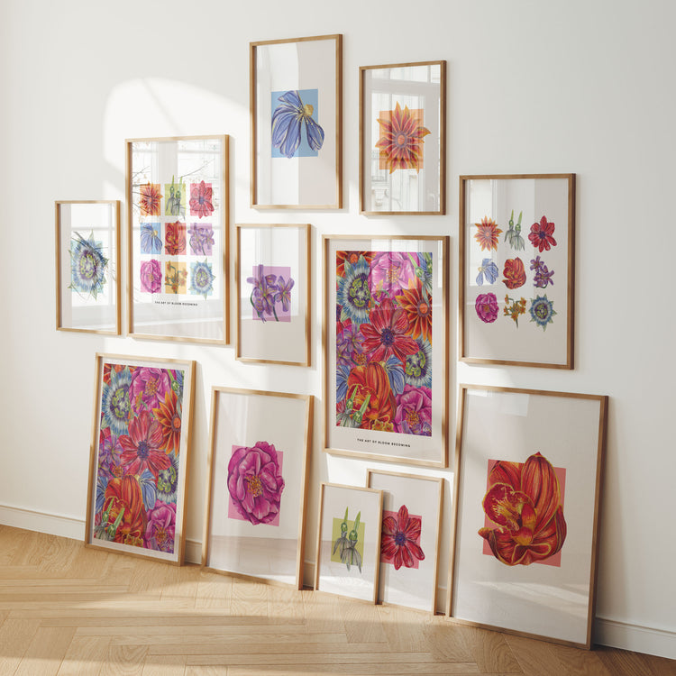 Collection of colourful bright framed floral artworks of varying sizes displayed on a wall