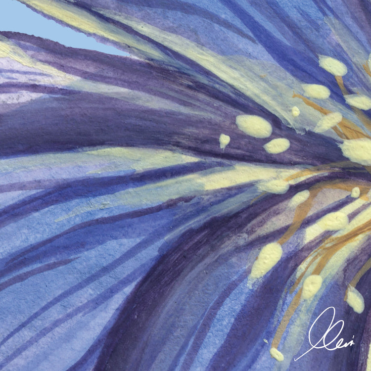 Close-up of a blue and purple dune flower painting with a signature in the corner.