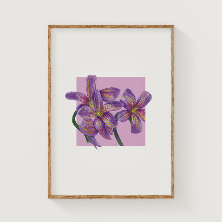 Framed artwork of purple flowers on a pink square background