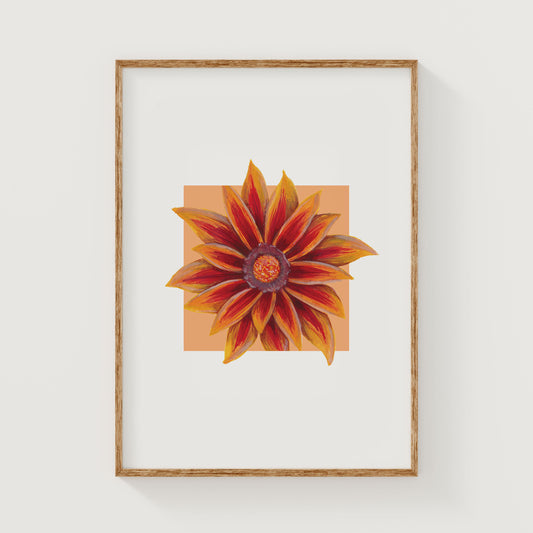Framed artwork of a Gazania flower with a wooden frame on a white wall.