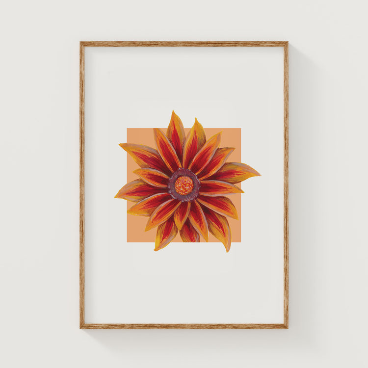 Framed artwork of a Gazania flower with a wooden frame on a white wall.