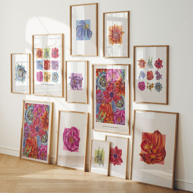 Collection of colourful bright framed floral artworks of varying sizes displayed on a wall
