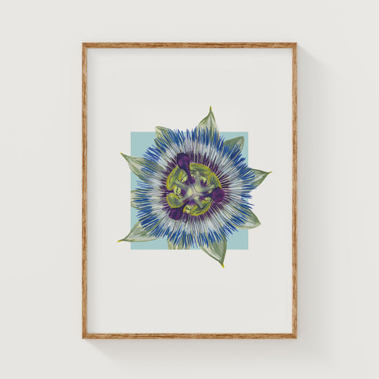 Framed artwork of a colorful passionfruit flower on a white wall
