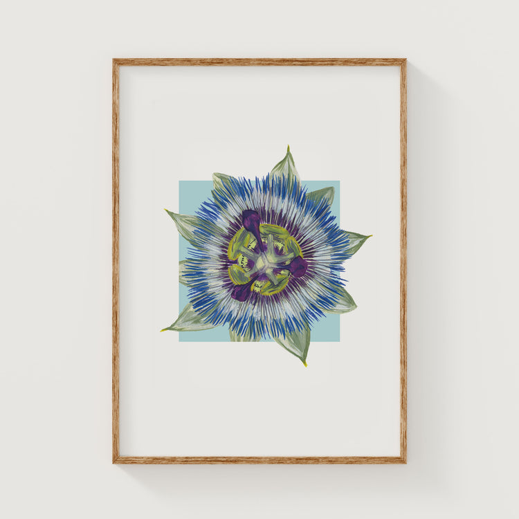 Framed artwork of a colorful passionfruit flower on a white wall