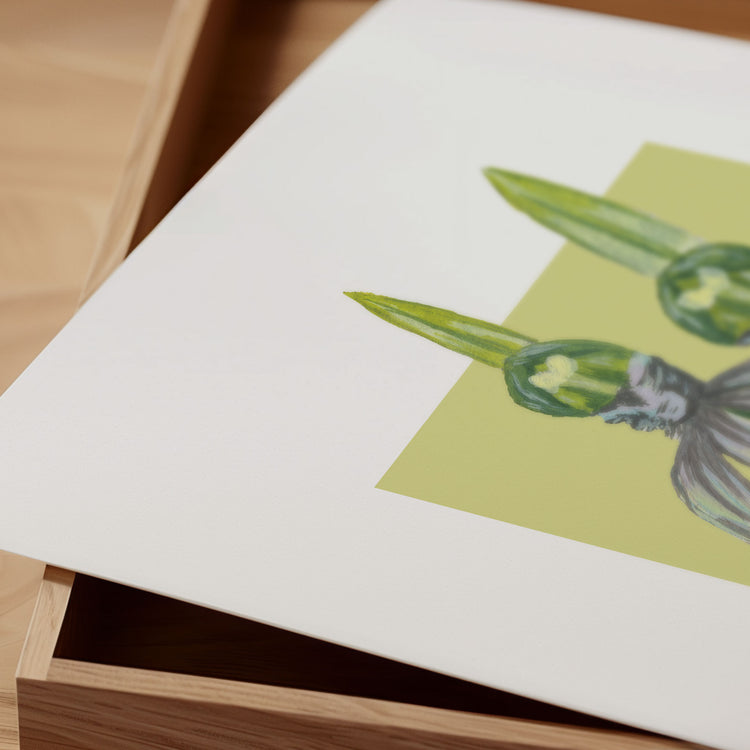 Close-up of a wooden box with a green and white card featuring a white lady orchid flower