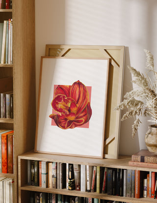 Framed artwork of an orange orchid on a bookshelf with books and decor.