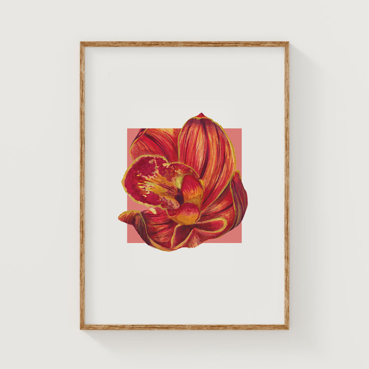 Framed artwork of an orange orchid flower on a white background