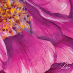 Close up painting with of pink and purple rose flower