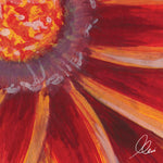 Close-up of an orange and red flower 