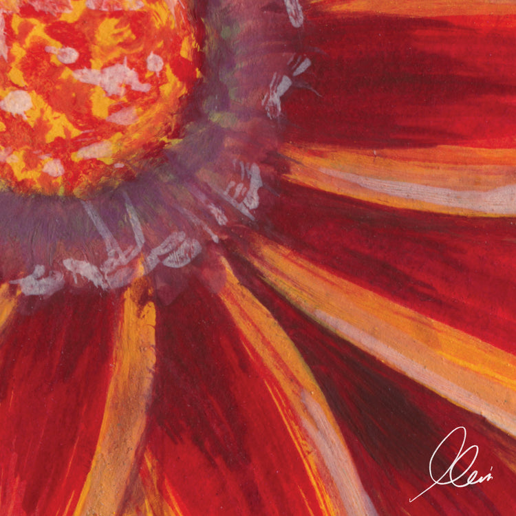 Close-up of an orange and red flower 