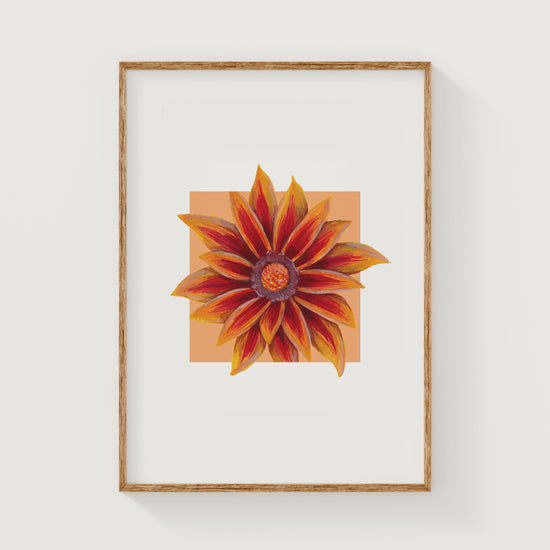 Framed artwork of a Gazania flower with a wooden frame on a white wall.